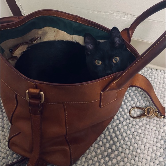 CAVIAR TASTE ON A SARDINE BUDGET - Picture 8 of 8